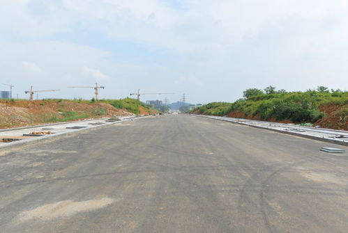 樂山高新區(qū)基礎設施及配套工程建設ppp項目 道路篇