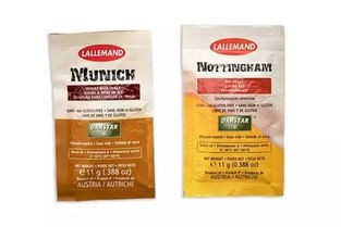 夏日必備的微醺藝術(shù) 走進(jìn)精釀吧，探索啤酒酵母的奇妙世界